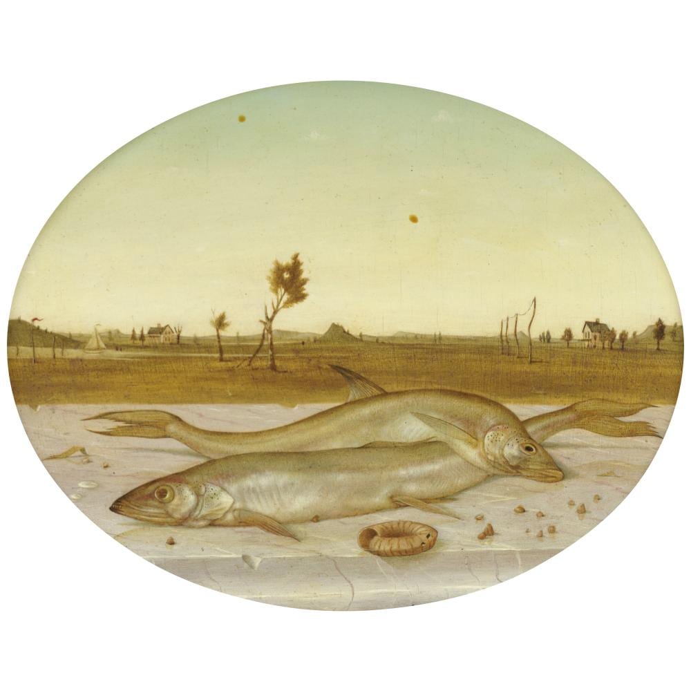 John Wilde comparable auction result: john wilde 1919 2006 still life with smelts 8 1 8 x 9 7 8 in 20 6 x 25 1 cm oval painted in 1952