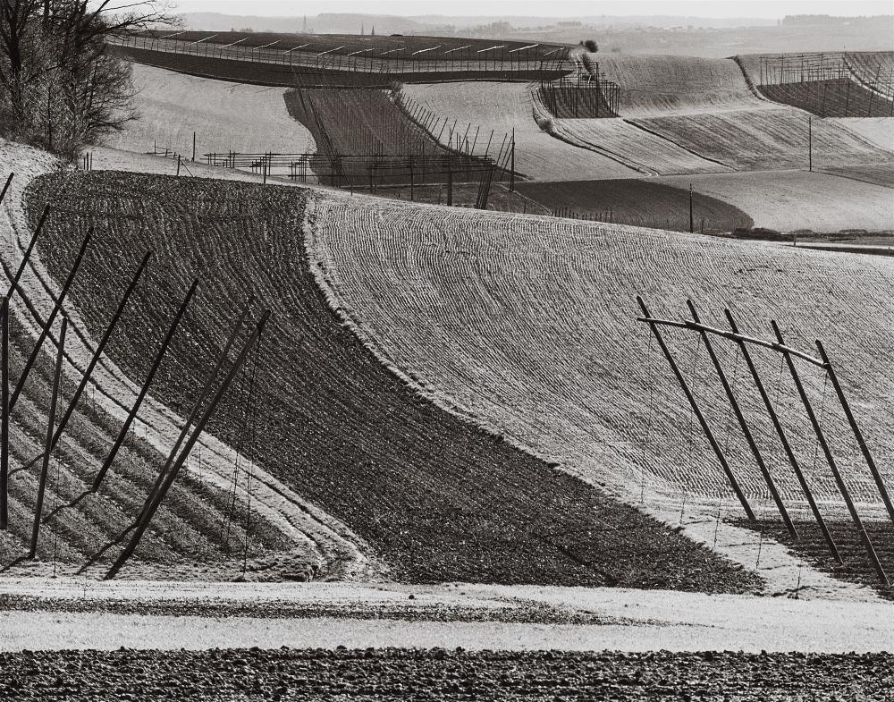 Peter Keetman comparable auction result: peter keetman hallertau landschaft 1959