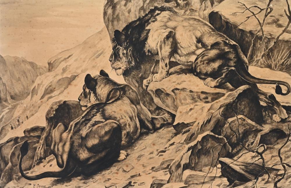Paul Jouve comparable auction result: paul jouve 1878 1973 ink on paper lions stalking their prey circa 1930