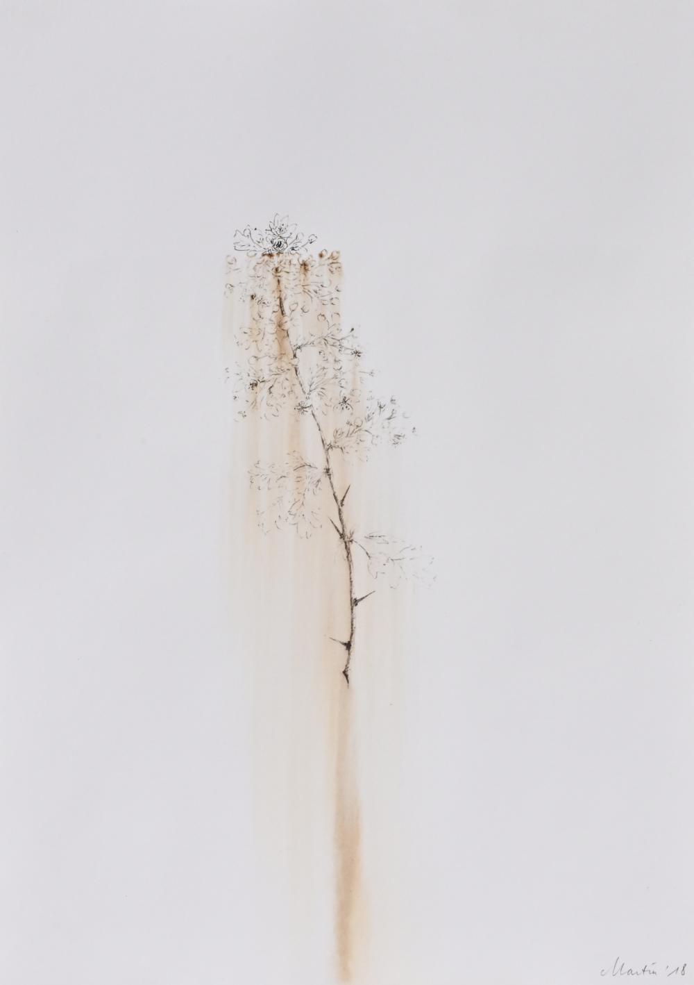 Kris Martin comparable auction result: kris martin 1972 ink and wash paper untitled 2018 signed