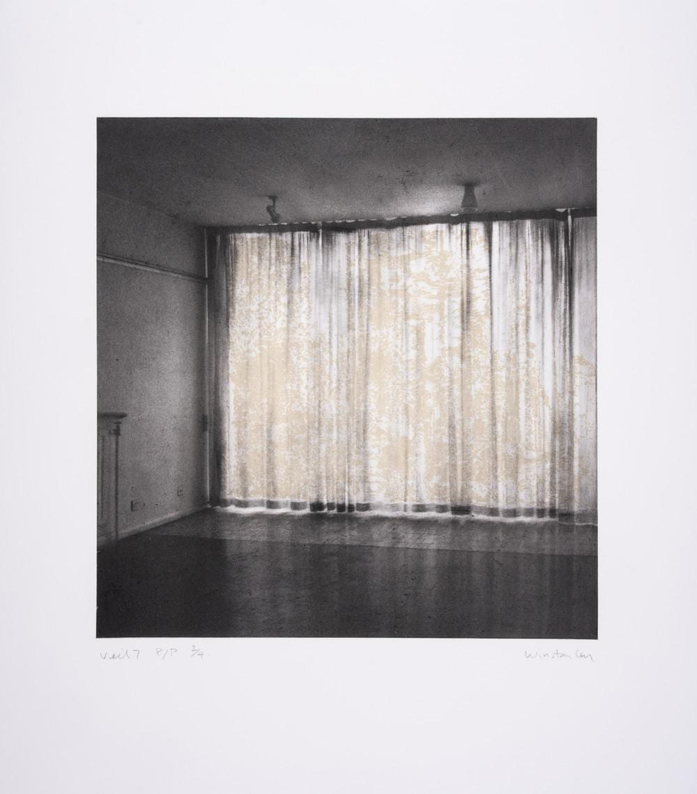 Paul Winstanley comparable auction result: paul winstanley b 1954 veil 1 8