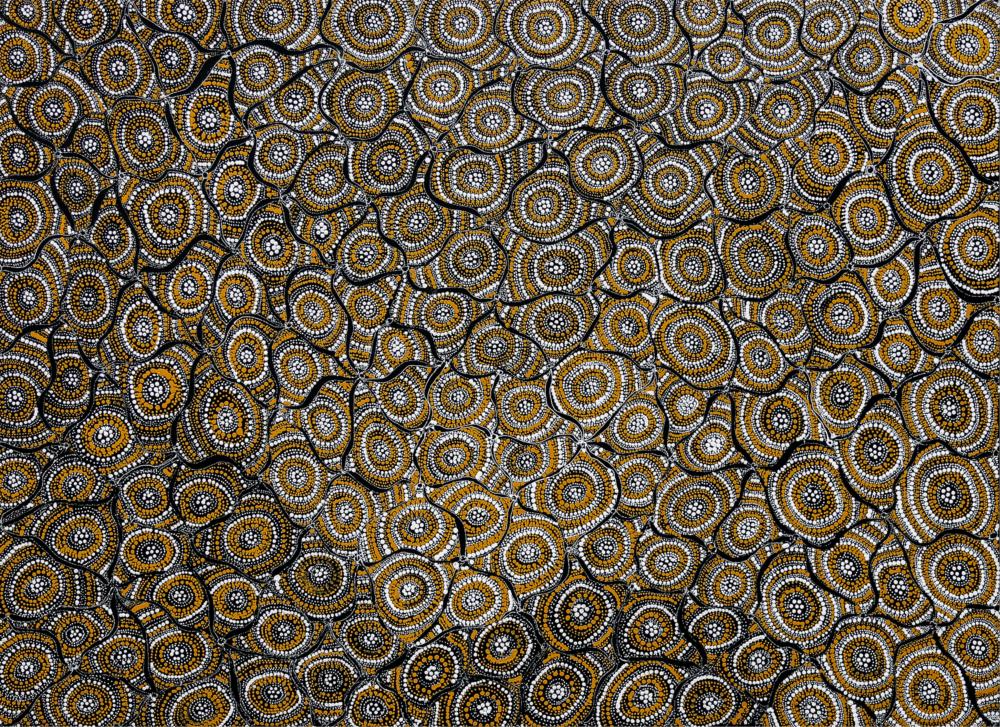 Lola Brown Nampitjinpa comparable auction result: lola brown nampitjinpa pikilyi spring dreaming acrylic on canvas 77cm x 105cm