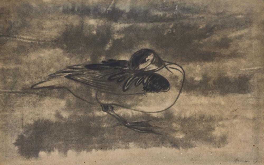 Morris Graves comparable auction result: morris graves preening duck 1953 offset lithograph