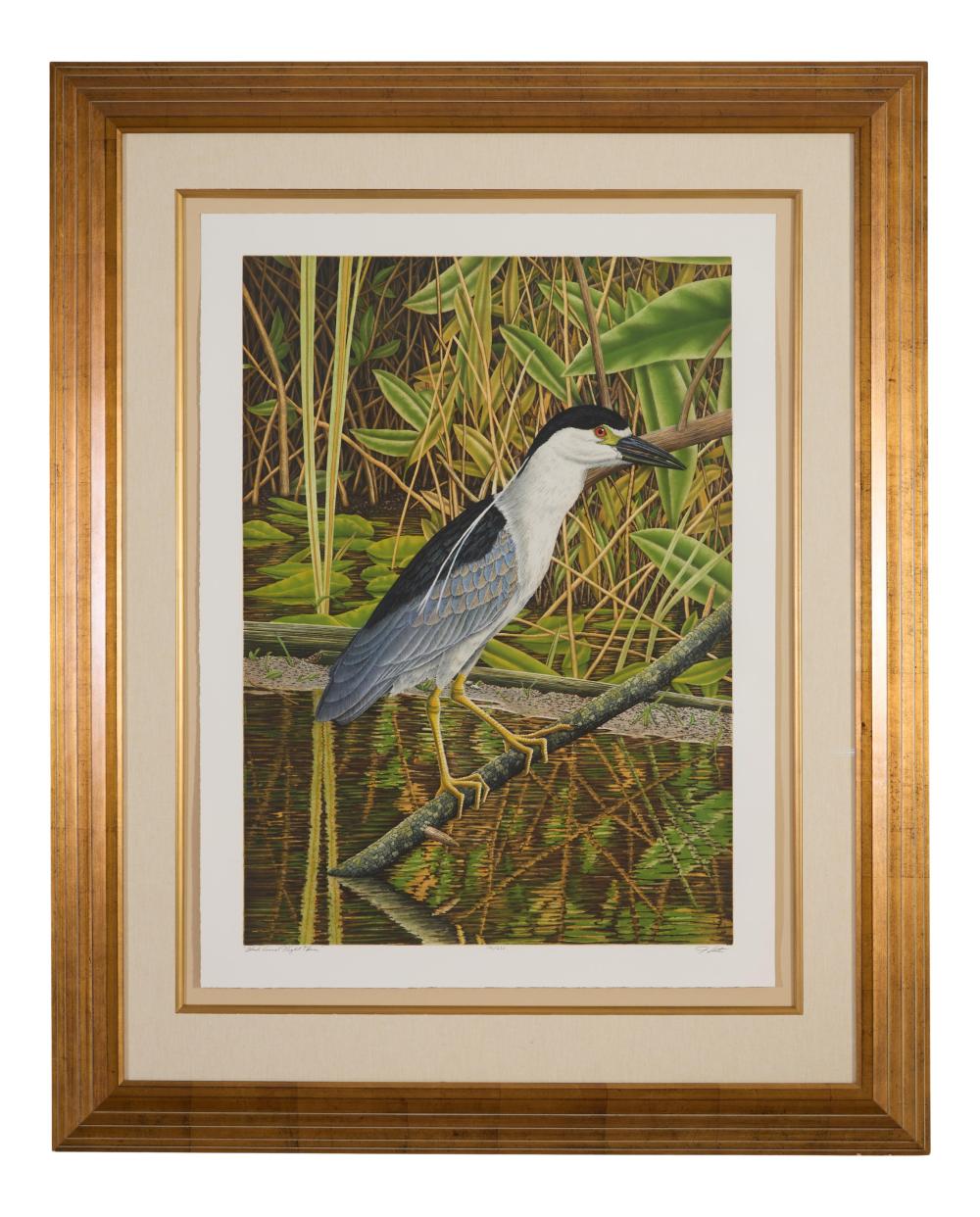 John Costin comparable auction result: john costin american florida b 1955 black crowned night heron h 37 1 2 in w 27 1 2 in framed h 53 1 2 in w 43 in