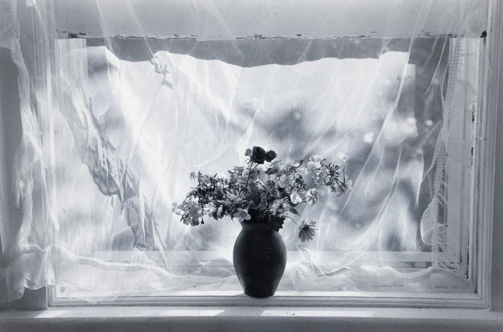 lilo raymond 1998 photograph flowers and curtain · Concept Art Gallery · 2025-12-06 Lilo Raymond comparable auction result: lilo raymond 1998 photograph flowers and curtain