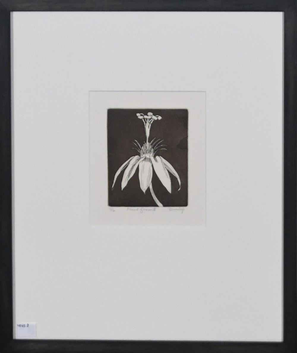 brian dunlop plant form ii · Leonard Joel · 2025-11-20 Brian Dunlop comparable auction result: brian dunlop plant form ii
