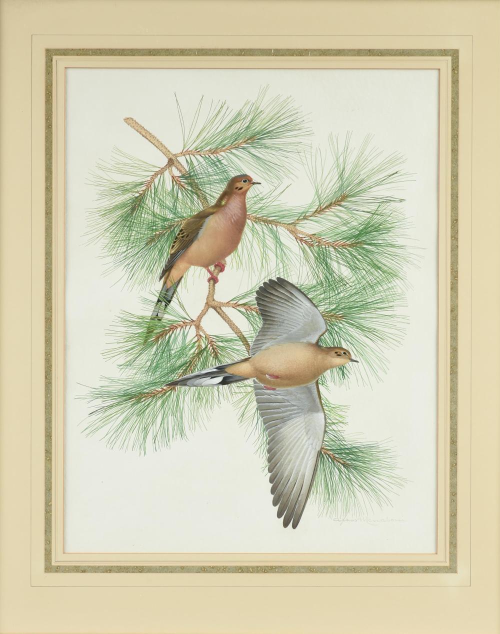 athos menaboni italian american 1895 1990 mourning doves 20th century 23 x 18 in 58 4 x 45 7 cm frame 31 3 4 x 25 3 4 in 80 6 x 65 4 cm · Simpson Galleries, LLC · 2025-12-06 Athos Menaboni comparable auction result: athos menaboni italian american 1895 1990 mourning doves 20th century 23 x 18 in 58 4 x 45 7 cm frame 31 3 4 x 25 3 4 in 80 6 x 65 4 cm
