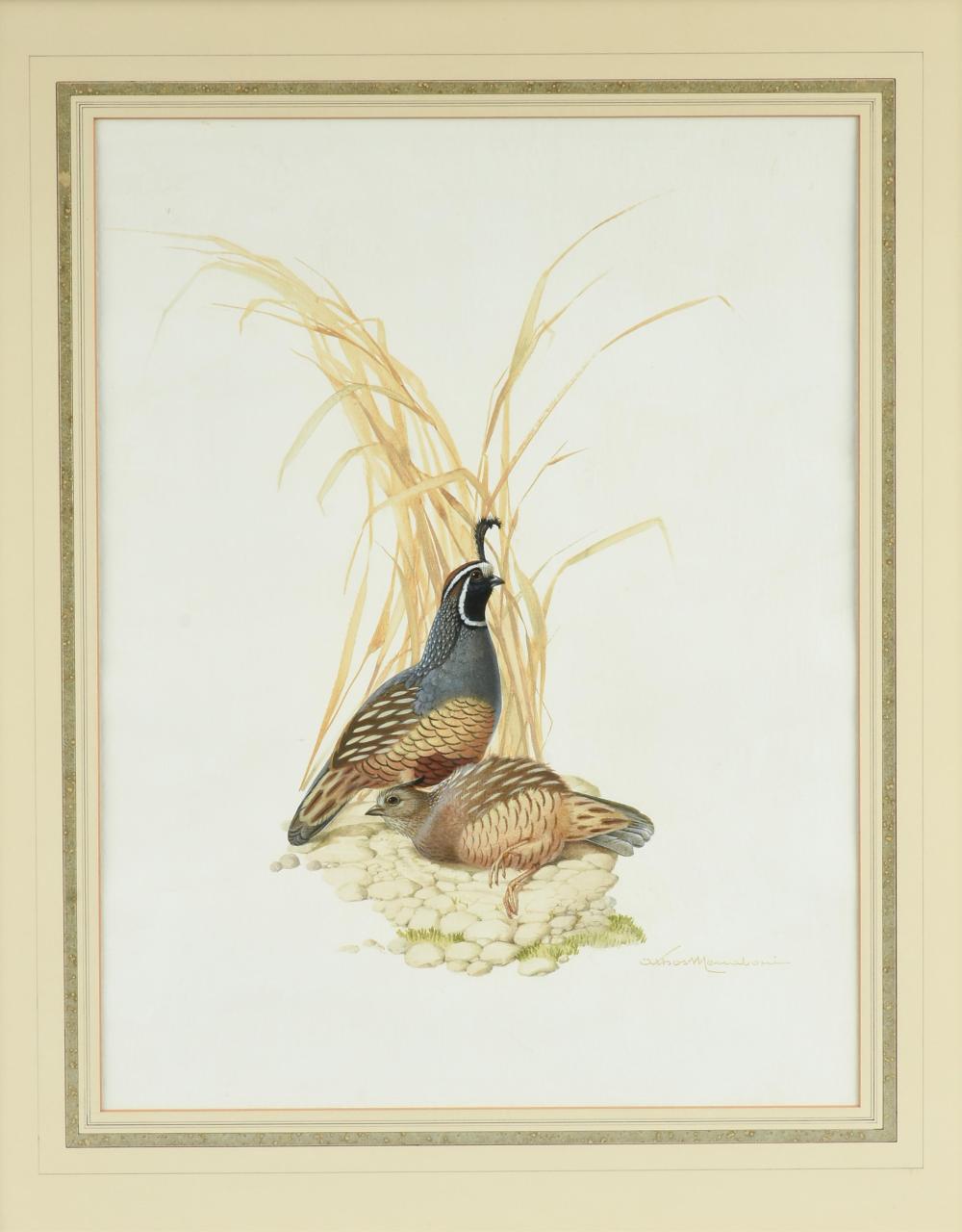 athos menaboni italian american 1895 1990 california quail 20th century 23 1 2 x 17 3 4 in 59 7 x 45 1 cm frame 31 1 4 x 25 in 79 4 x 63 5 cm · Simpson Galleries, LLC · 2025-12-06 Athos Menaboni comparable auction result: athos menaboni italian american 1895 1990 california quail 20th century 23 1 2 x 17 3 4 in 59 7 x 45 1 cm frame 31 1 4 x 25 in 79 4 x 63 5 cm