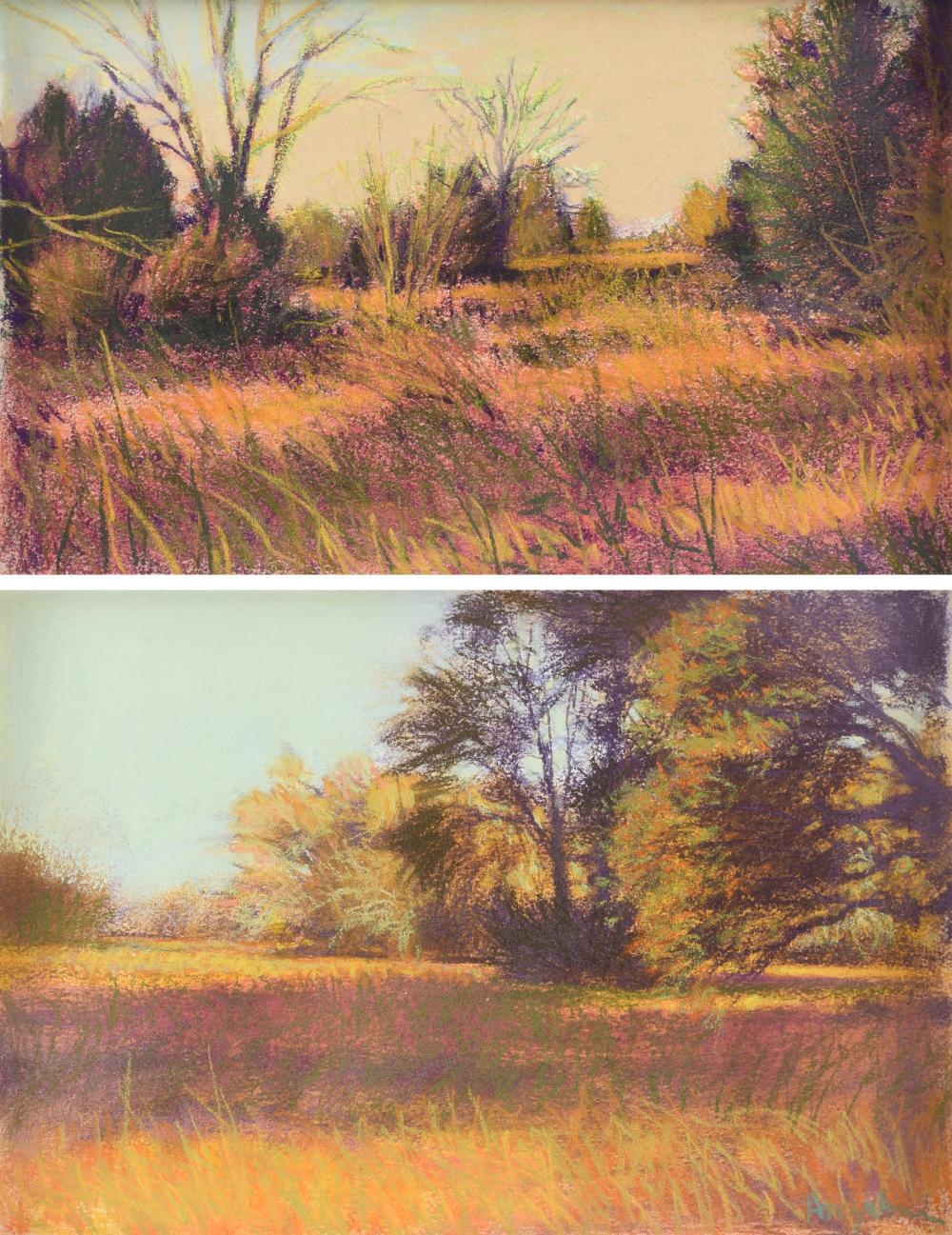 William Anzalone comparable auction result: william anzalone american texas b 1935 two pastels untitled 20th century largest 8 1 2 x 12 1 2 in 21 6 x 31 8 cm frame 17 3 4 x 21 3 4 in 45 1 x 55 2 cm