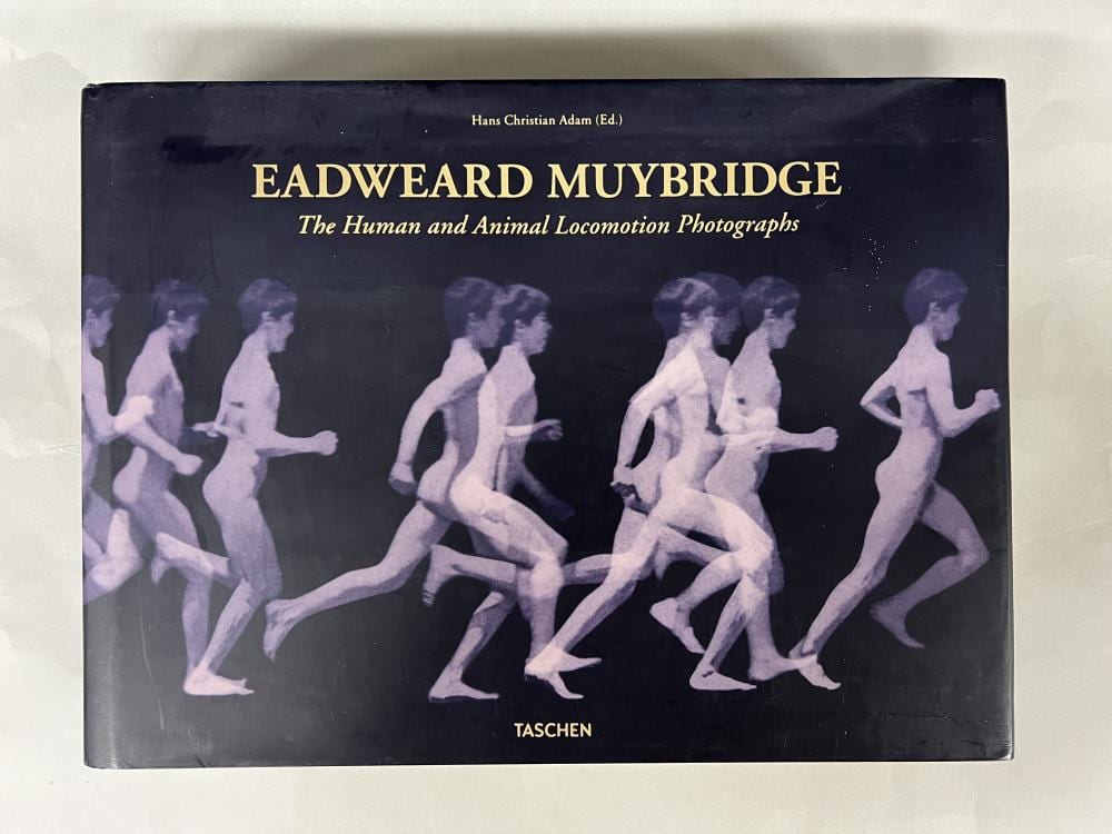 Eadweard Muybridge comparable auction result: eadweard muybridge