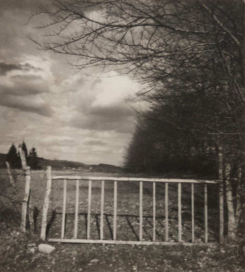 laure albin guillot 1879 1962 fence in field 1938 · John Moran Auctioneers · 2025-12-16 Laure Albin-Guillot comparable auction result: laure albin guillot 1879 1962 fence in field 1938