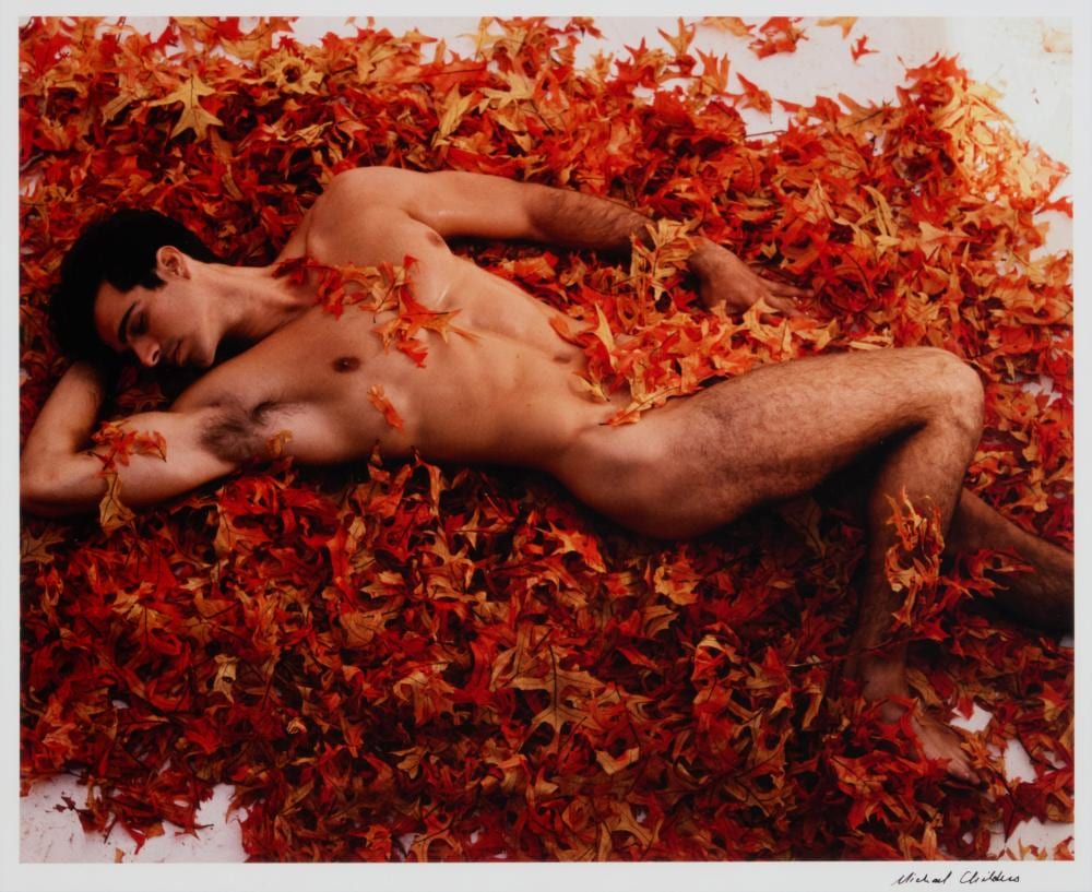 Michael Childers comparable auction result: michael childers b 1944 reclining male nude among autumn leaves