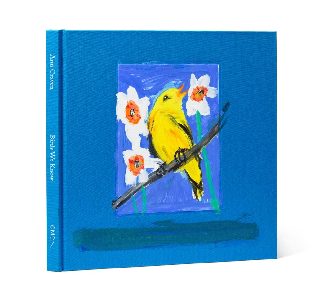 Ann Craven comparable auction result: ann craven b 1967 untitled singing finch oil and acrylic on paper mo