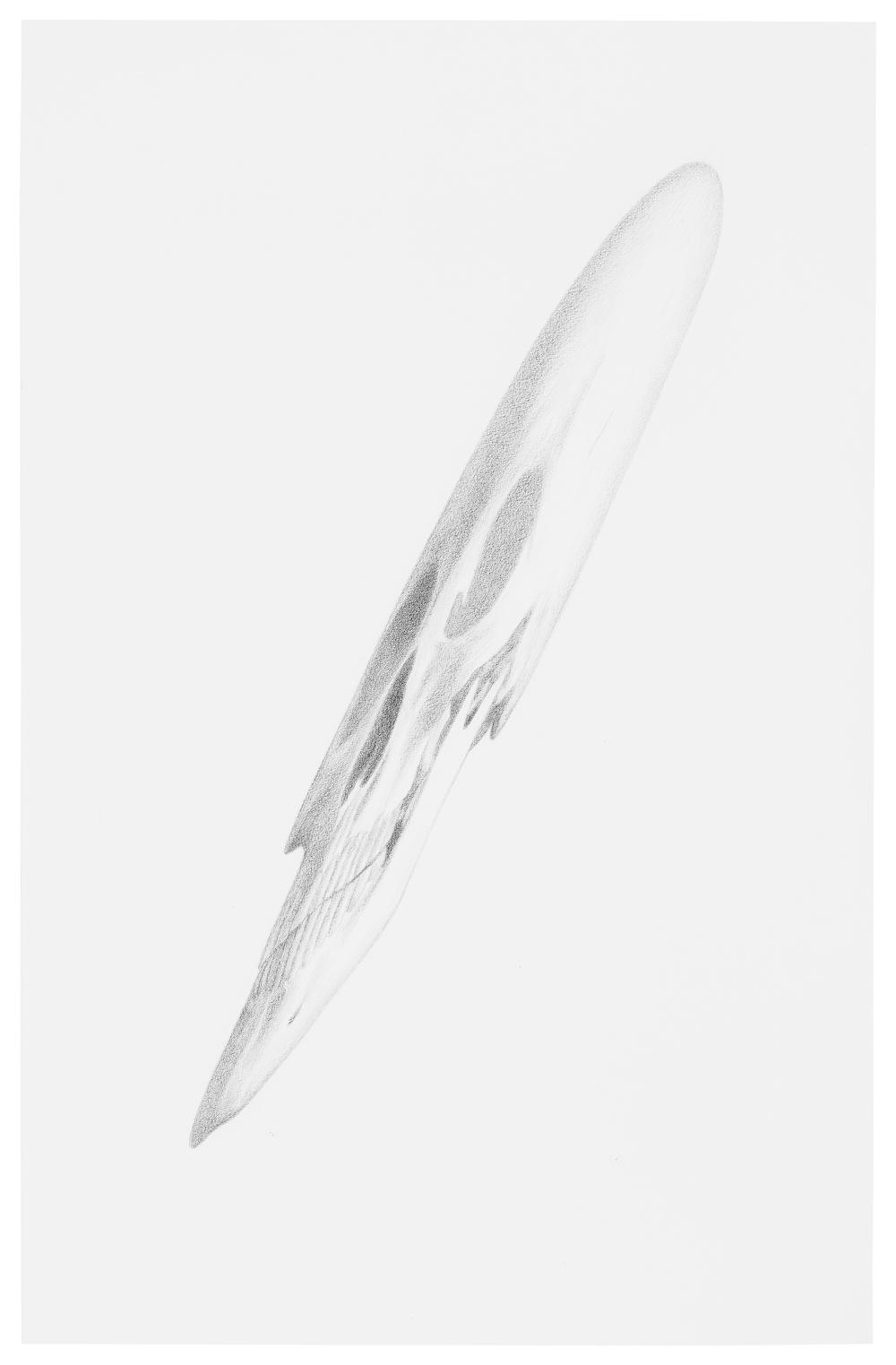 Robert Lazzarini comparable auction result: robert lazzarini b 1965 untitled graphite on paper17 x 11 in 43 2 x