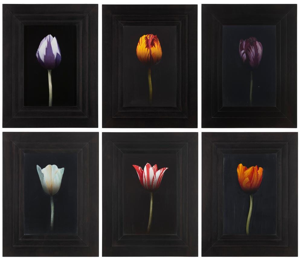 Michael Gregory comparable auction result: michael gregory b 1955 untitled purple and white tulip untitled yel
