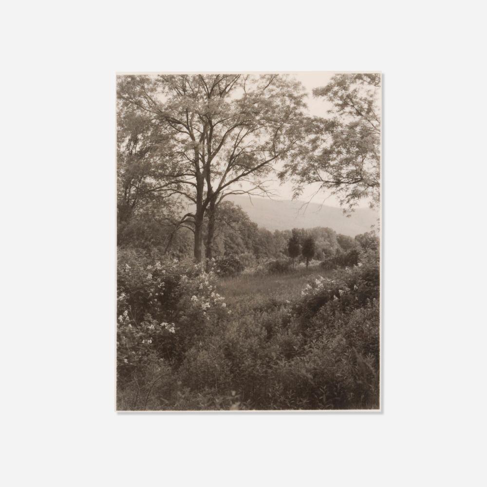 Jan Groover comparable auction result: jan groover playing field new jersey