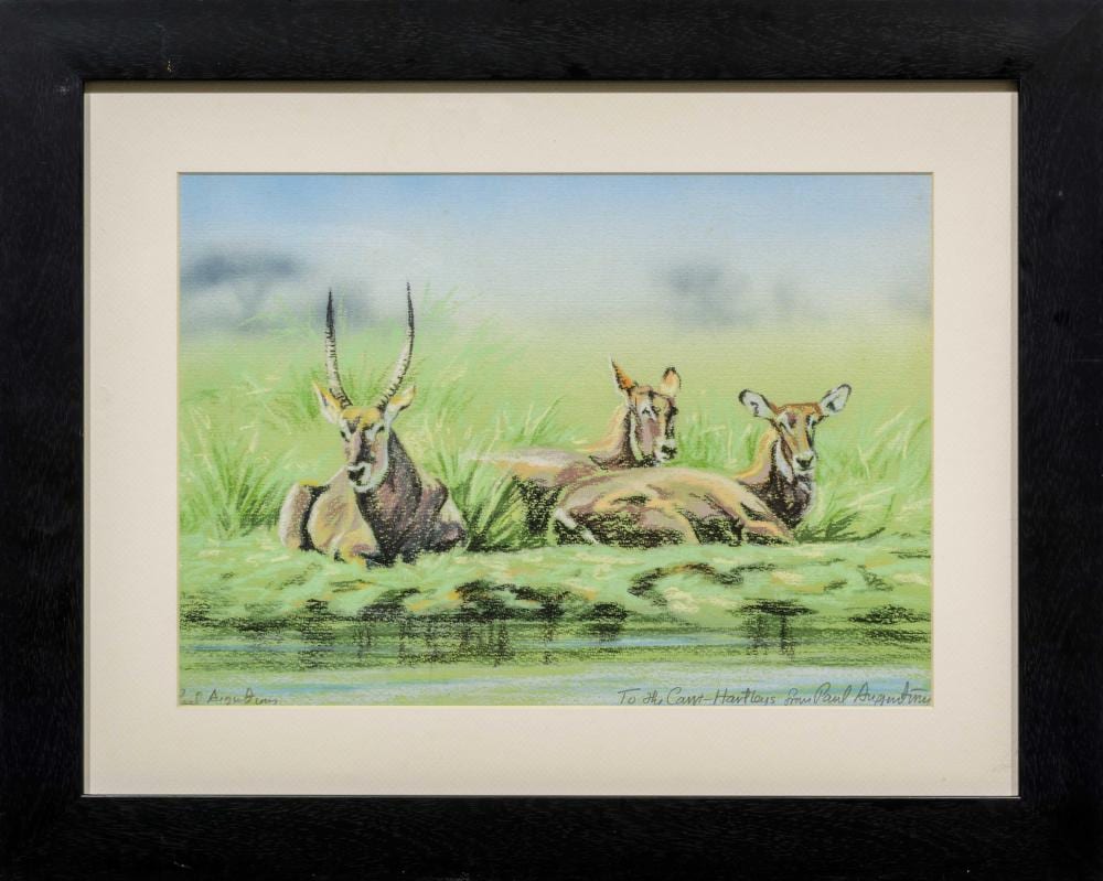 Paul Augustinus comparable auction result: paul augustinus sa born 1952 pastel waterbuck signed 27 x 38
