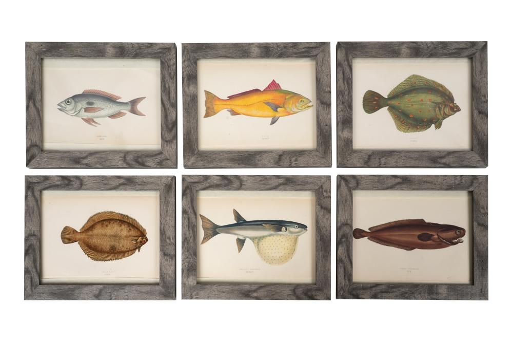 jonathan couch 1789 1870 a set of six hand coloured plates of fish from a history of the · Azca Auctions · 2025-12-09 Jonathan Couch comparable auction result: jonathan couch 1789 1870 a set of six hand coloured plates of fish from a history of the