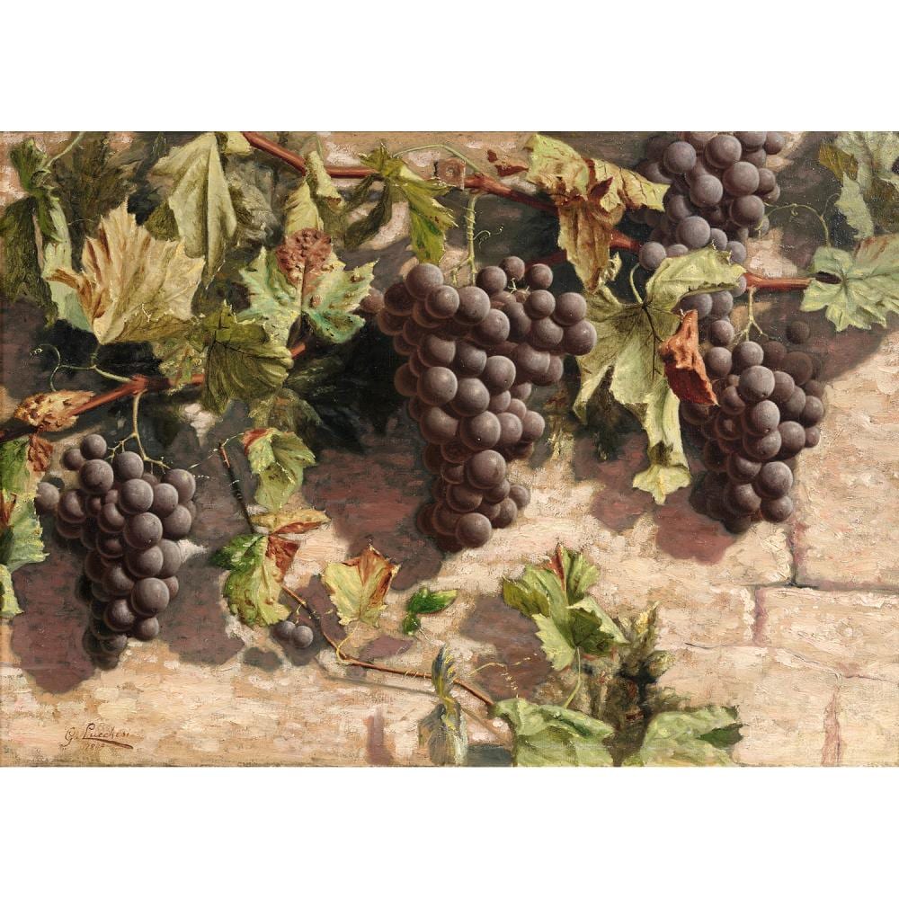 Giorgio (1855) Lucchesi comparable auction result: giorgio lucchesi lucques 1855 1941 les grappes de raisins toile d origine sign et dat en bas gauche g lucchesi 188