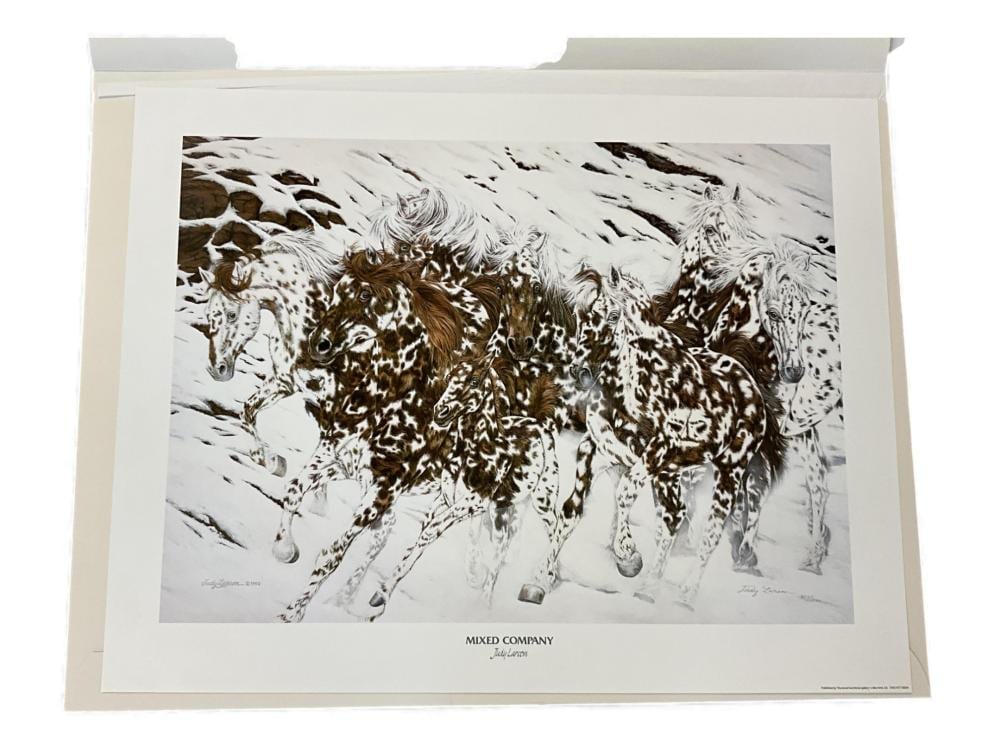 Judy Larson comparable auction result: judy larson mixed company signed numbered unframed print