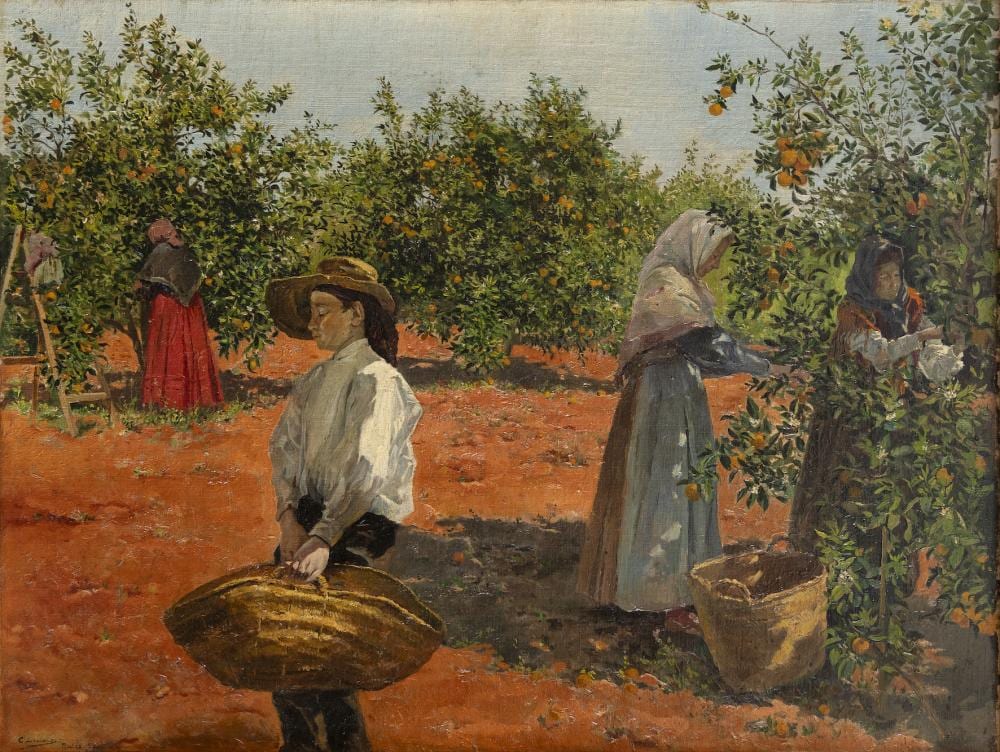 carlos lezcano fern ndez madrid 1871 1929 collecting oranges 1897 · Bayeu Subastas · 2025-12-15 Carlos Lezcano comparable auction result: carlos lezcano fern ndez madrid 1871 1929 collecting oranges 1897