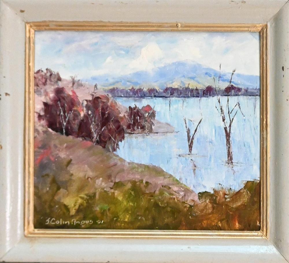 J. Colin Angus comparable auction result: john colin angus lake mokoan 2001