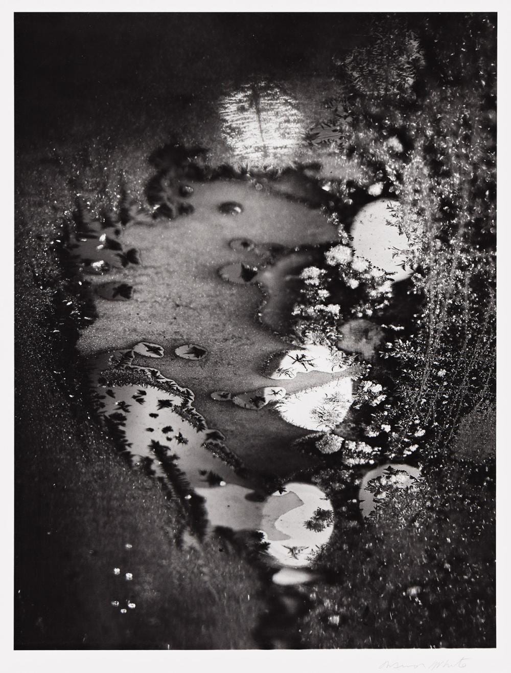 Minor White comparable auction result: minor white 1908 1976 beginnings rochester new york 1962 printed 1970s