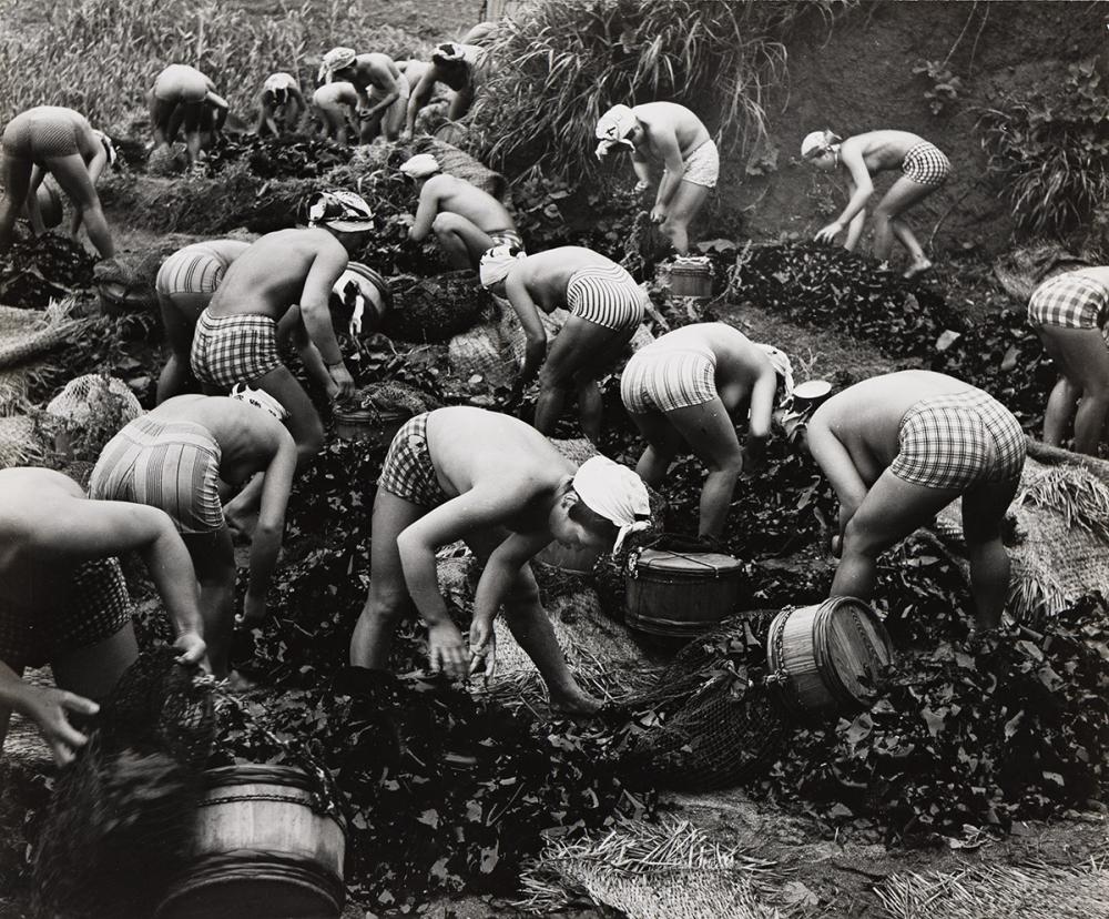 Yoshiyuki Iwase comparable auction result: yoshiyuki iwase 1904 2001 seaweed harvest 1956 printed 1970s