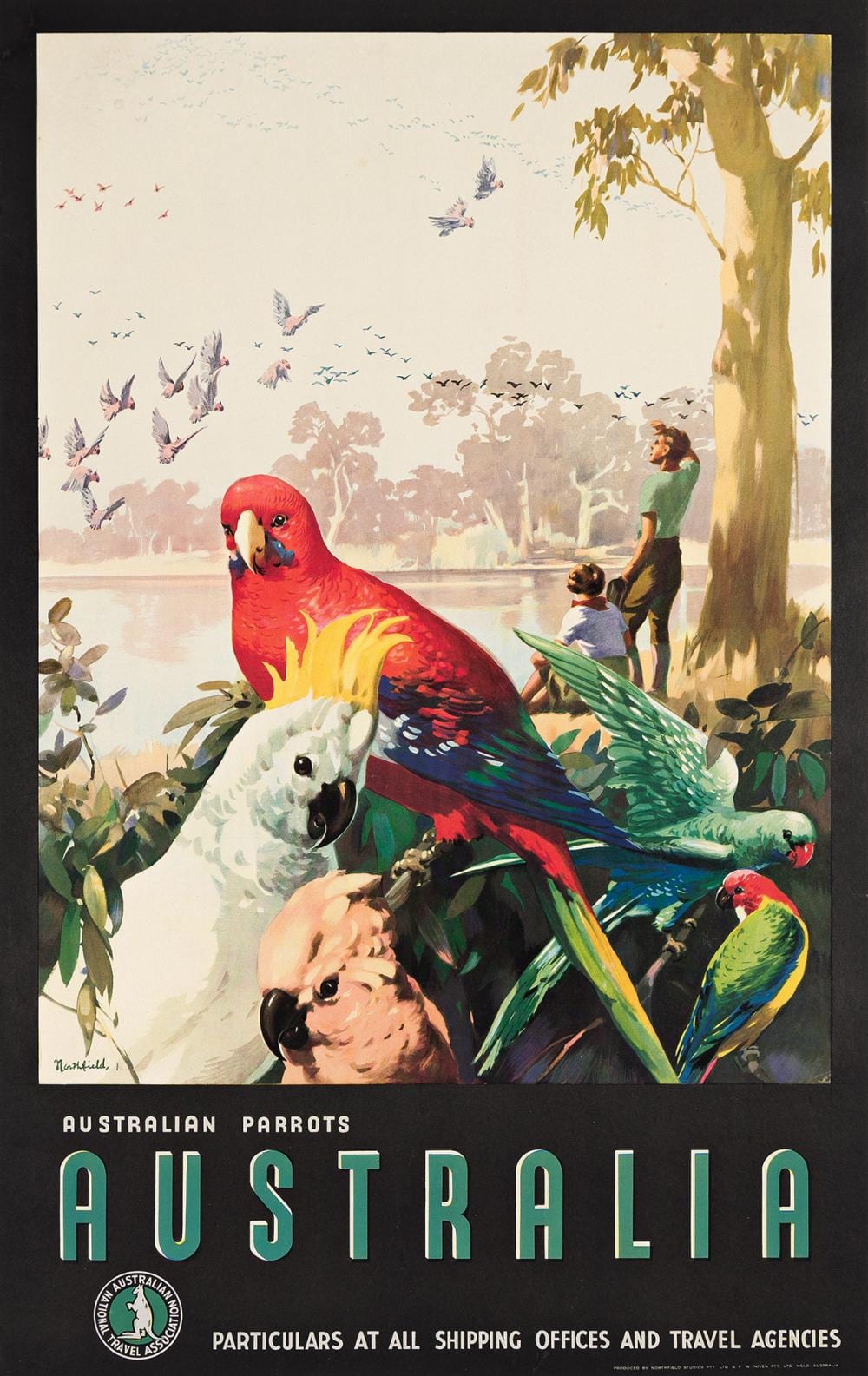 James Northfield comparable auction result: james northfield 1887 1973 australia australian parrots circa 1935 39 x25 inches 99x63 cm f w niven pty ltd melbourne