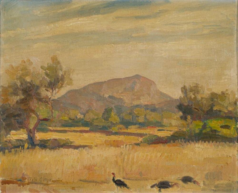 Tito Cittadini comparable auction result: tito cittadini buenos aires 1886 palma de mallorca 196
