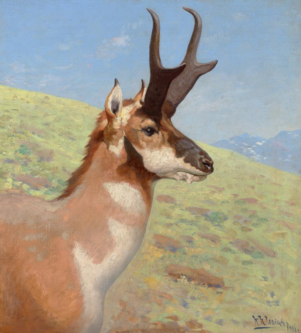 William Robinson Leigh comparable auction result: william robinson leigh 1866 1955 pronghorn oil on canvas21 x 19 in 53