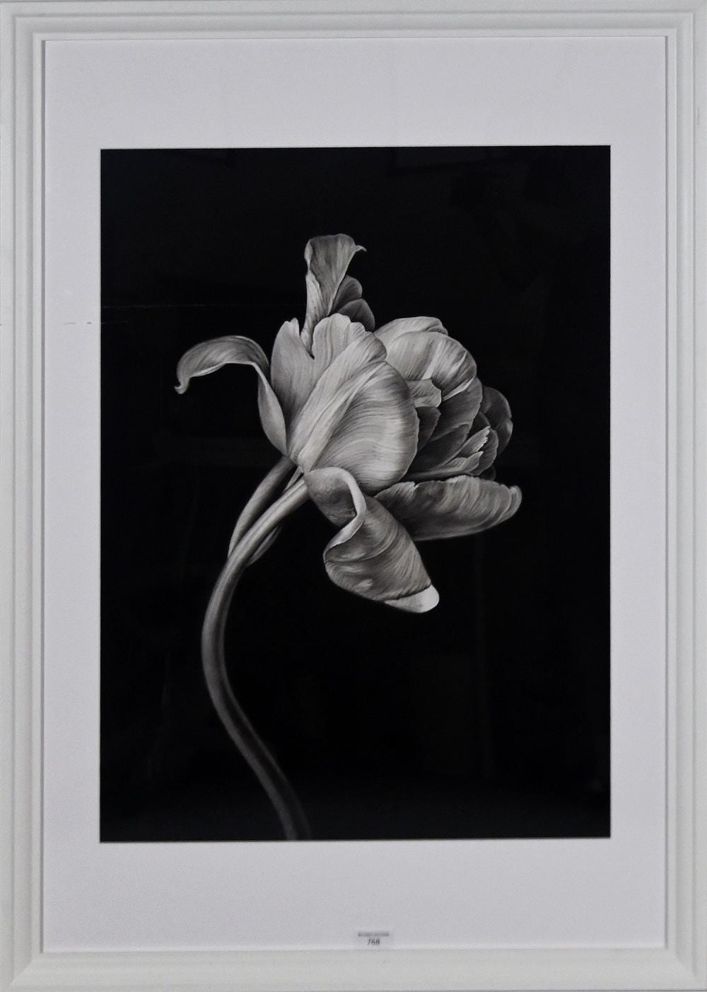 Joanne Morris comparable auction result: joanne morris bloom