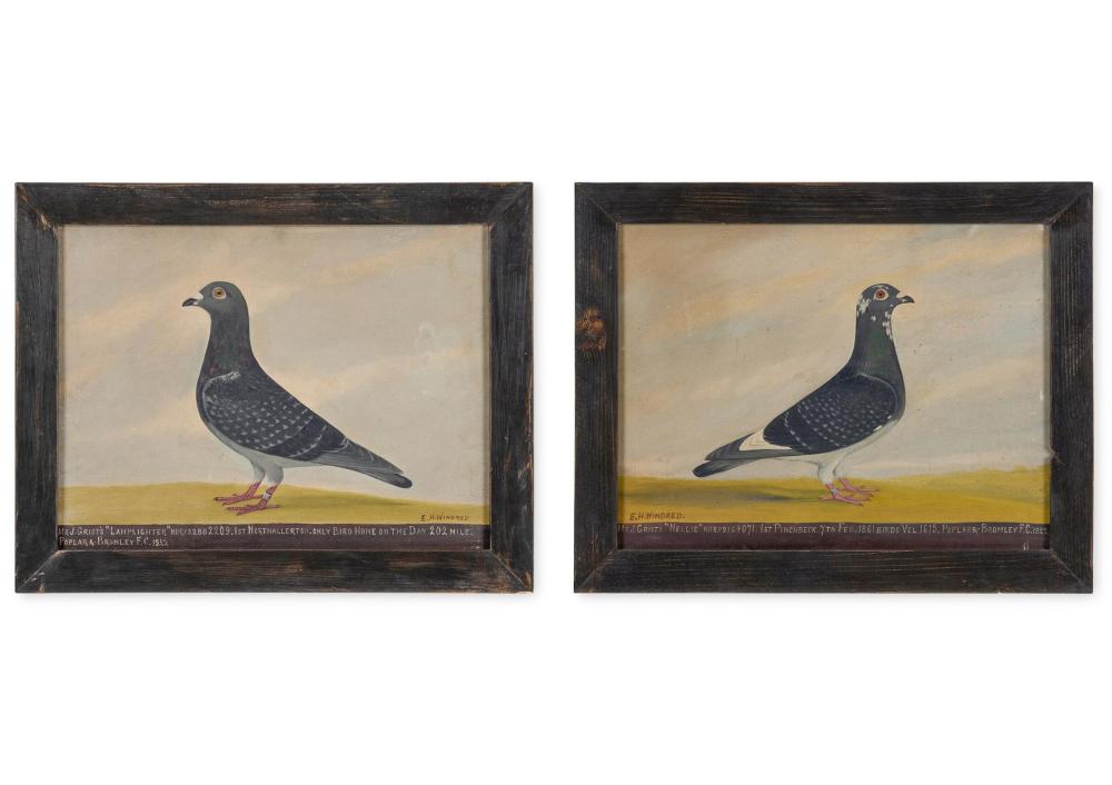 edward henry windred british 1875 1953 homing pigeons lamplighter nellie · Dreweatts 1759 Fine Sales · 2026-01-14 Edward Henry Windred comparable auction result: edward henry windred british 1875 1953 homing pigeons lamplighter nellie