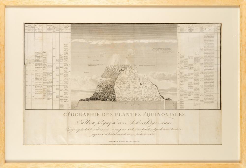 1era edición de la Geografía de las plantas equinocciales de Humboldt comparable sale