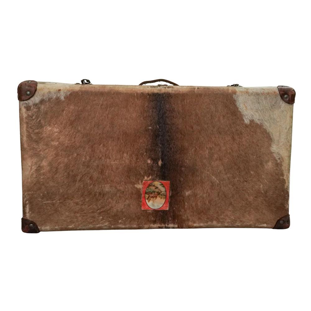 Vintage cowhide travel trunk with leather straps, dark corner hardware, and a small central emblem badge.