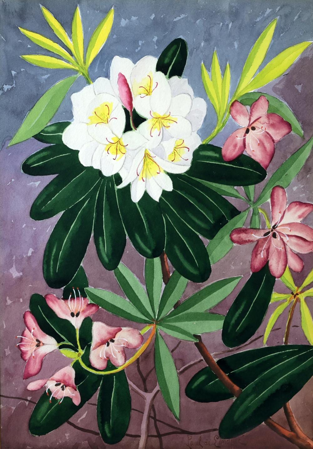Painted floral arrangement with white orchids, yellow centers, green leaves, and pink flowers on a gray textured background.