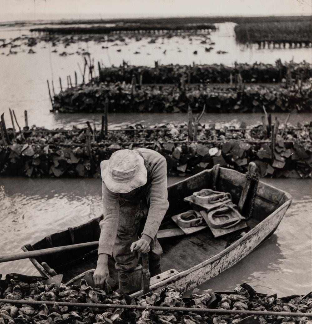 Paul Almasy comparable auction result: paul almasy 1906 2003 ostreiculture region de marennes 1950s