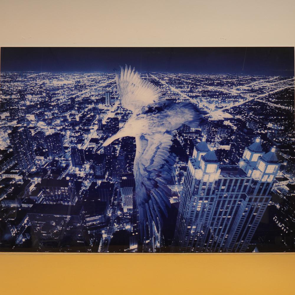 Robert Gligorov comparable auction result: robert gligorov greek b 1960 artist proof lambda print w coa signed