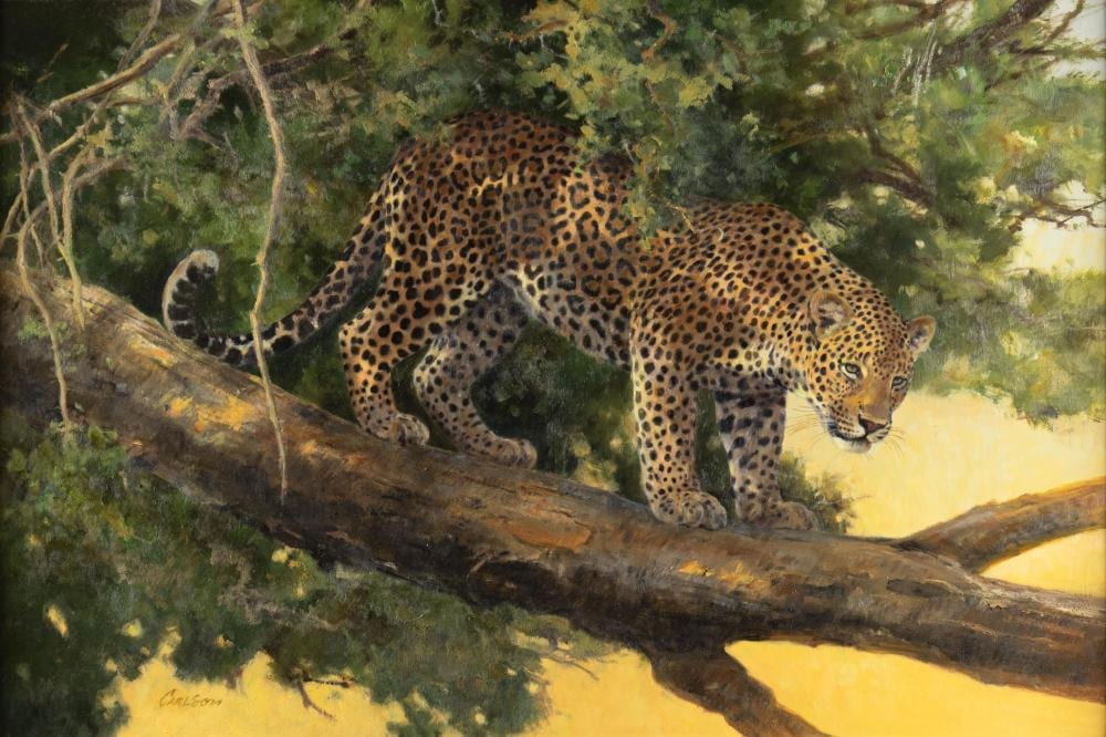 Ken Carlson comparable auction result: ken carlson american b 1937 contemplating the odds