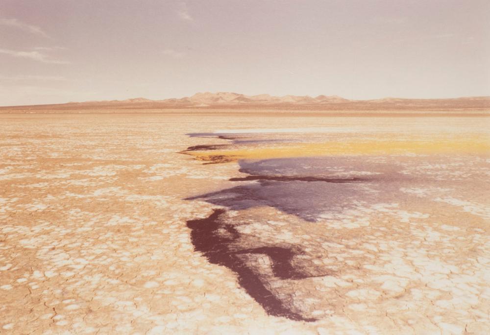 Lita Albuquerque comparable auction result: lita albuquerque b 1946 california