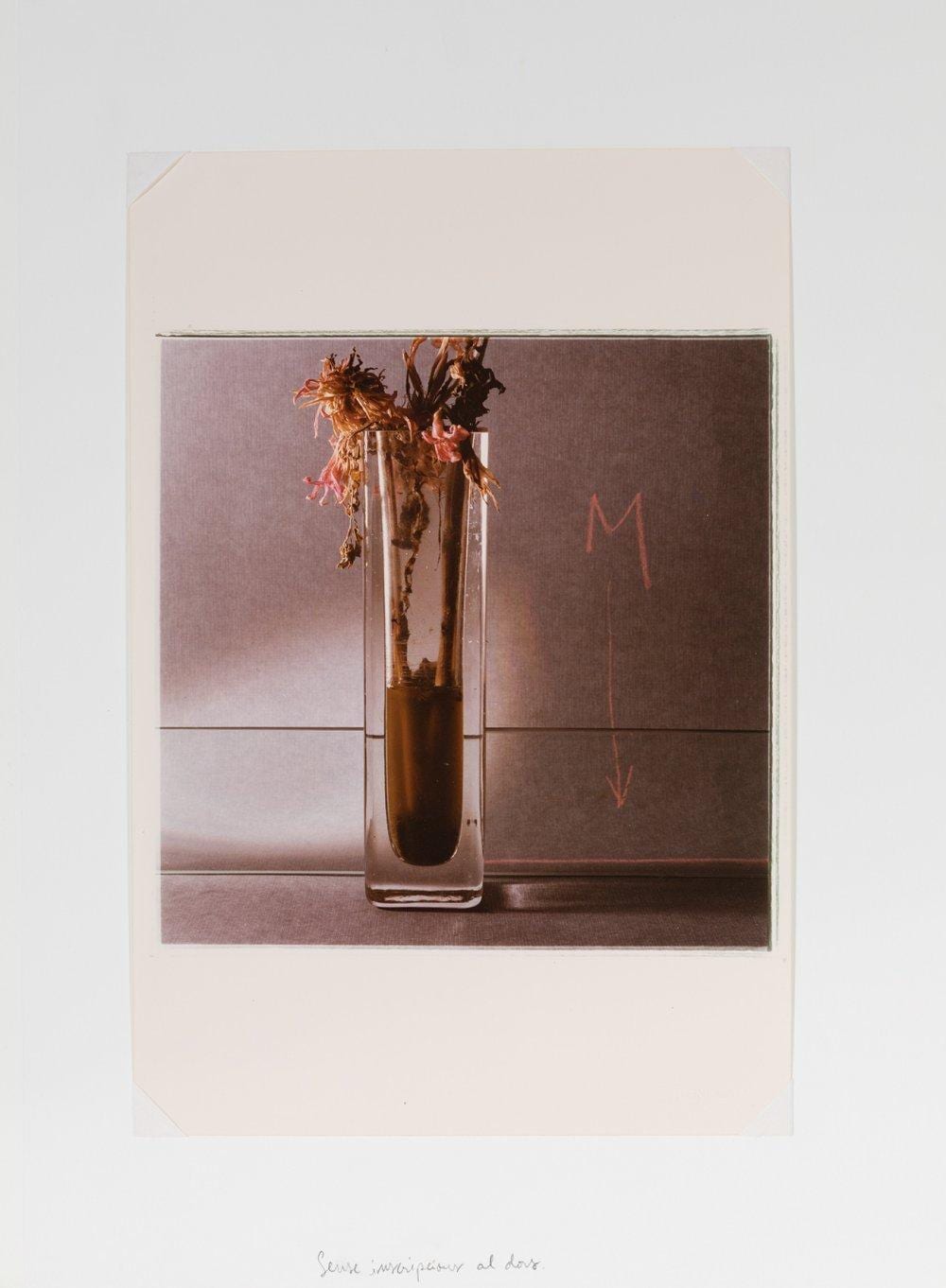 Toni Catany comparable auction result: toni catany lluchmayor balearic islands 1942 barcelona 2013 natura morta photograph with photographer s dry stamp on the back