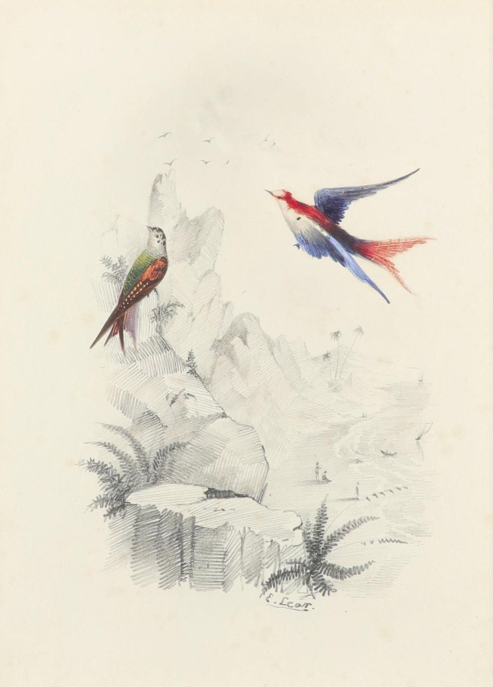 edward lear original watercolor of two brightly plumed birds in a tropical coastal landscape · Arader Galleries · 2026-02-07 Edward Lear comparable auction result: edward lear original watercolor of two brightly plumed birds in a tropical coastal landscape