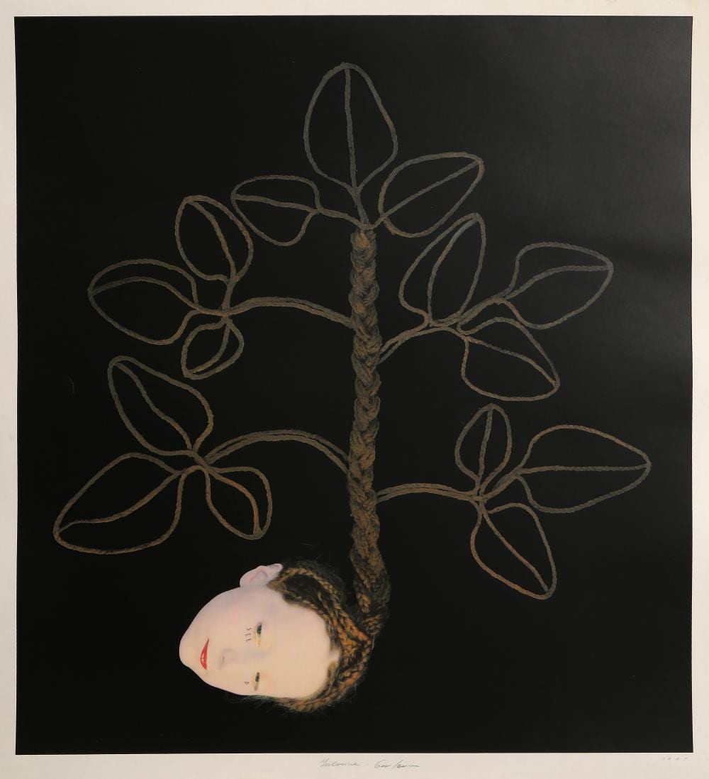 Rimma Gerlovina comparable auction result: rimma gerlovina seed photo screenprint