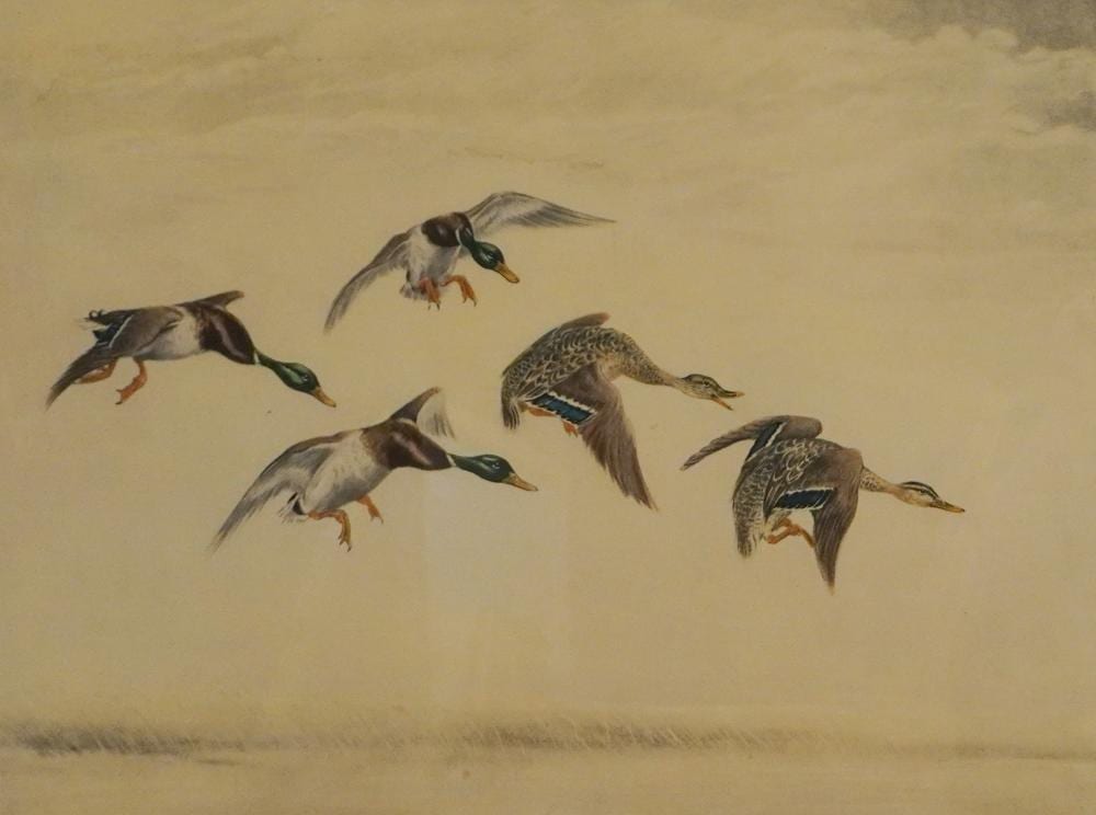 Léon Danchin comparable auction result: l on danchin french 1887 1938 ducks in flight etching and aquatint signed l r frame 22 1 2 x 27 1 2 in 57 2 x 69 9 cm