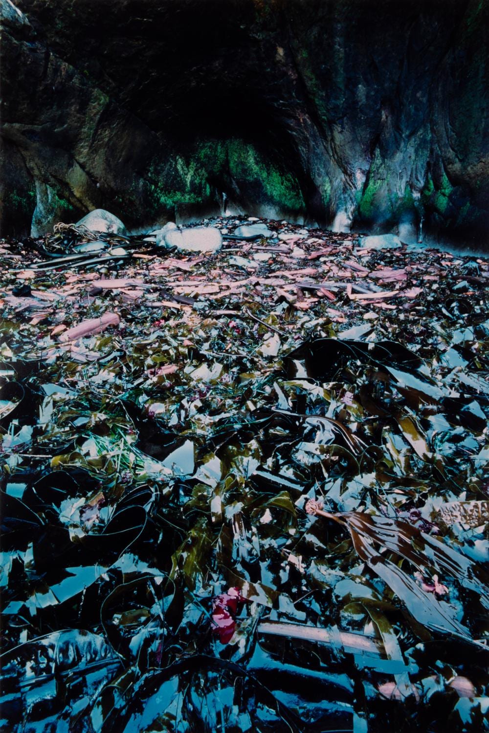 Courtney Milne comparable auction result: courtney milne dzonokwa s sea cave place of grieving
