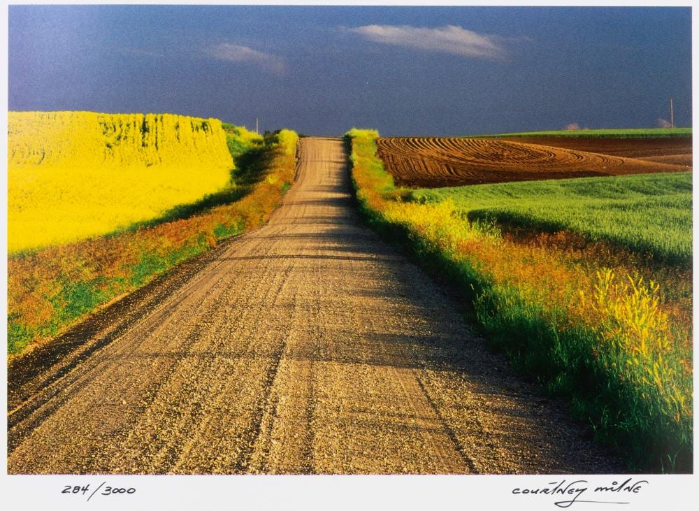 Courtney Milne comparable auction result: courtney milne country road