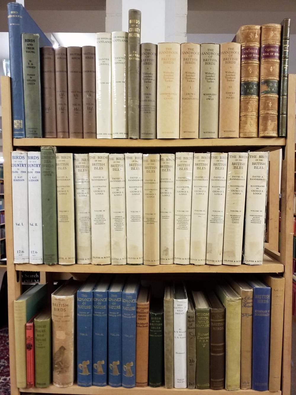 Ornithology. A collection of early to mid-20th Century ornithology reference & related sold by Dominic Winter Auctions, lot 502 — auction record photograph