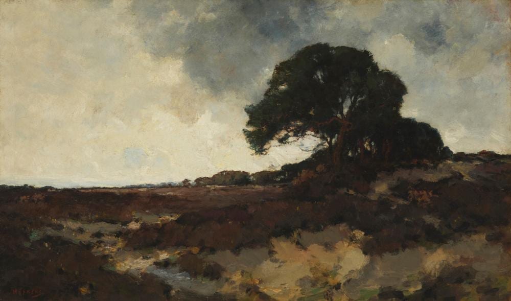 Martinus Jacobus Nefkens comparable auction result: martinus jacobus nefkens 1866 1941 dutch landscape