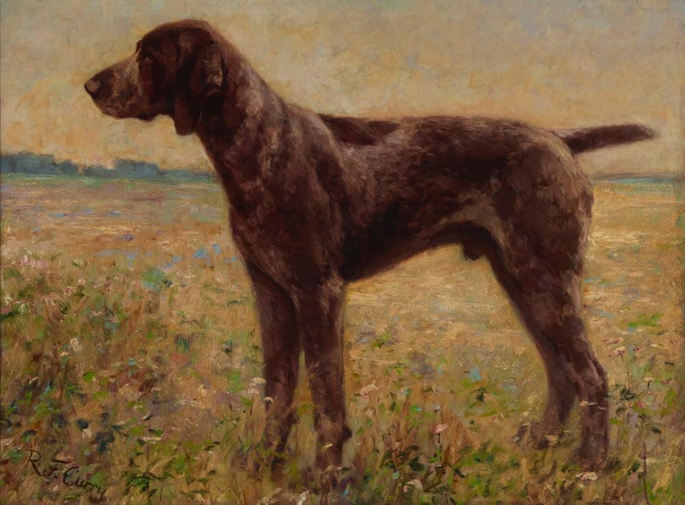 Robert Franz Curry comparable auction result: robert franz curry 1872 1955 german shorthaired pointer