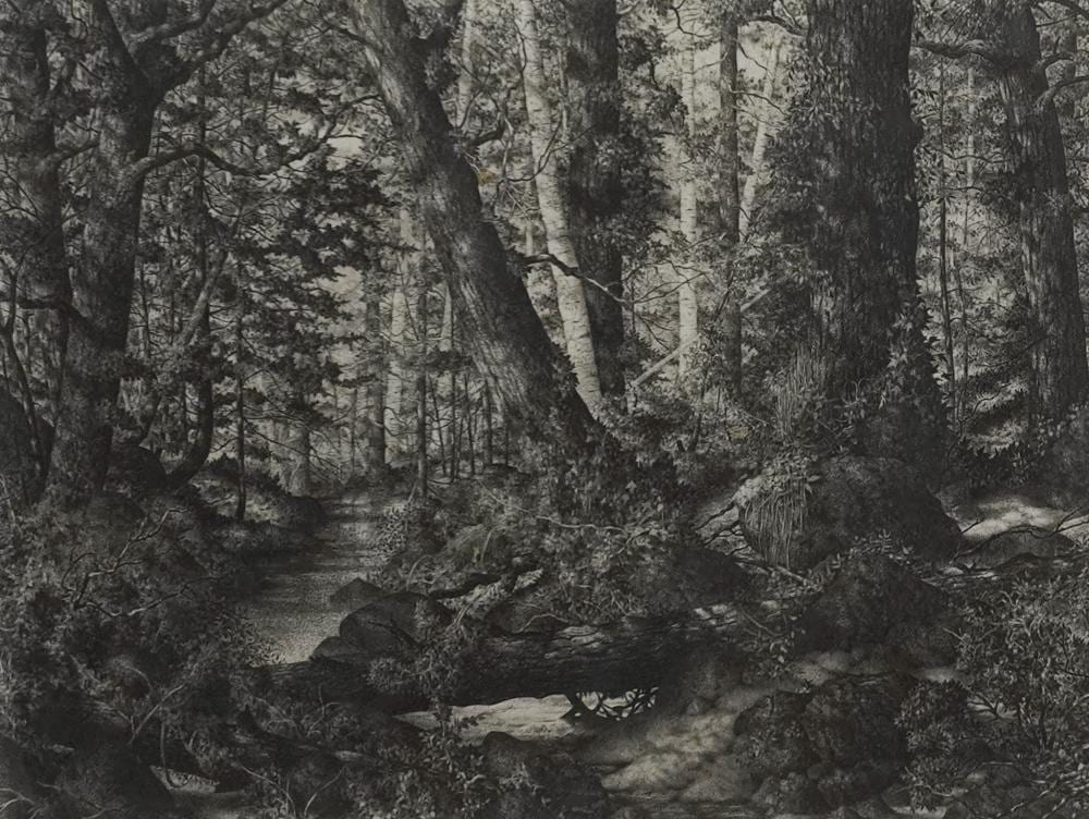 Mark Alan Leithauser comparable auction result: mark alan leithauser american b 1950 the northern shore etching signed and dated 1977 l r titled l r and numbered 121 150 l c frame 13 x 15 1 2 in 33 x 39 4 cm